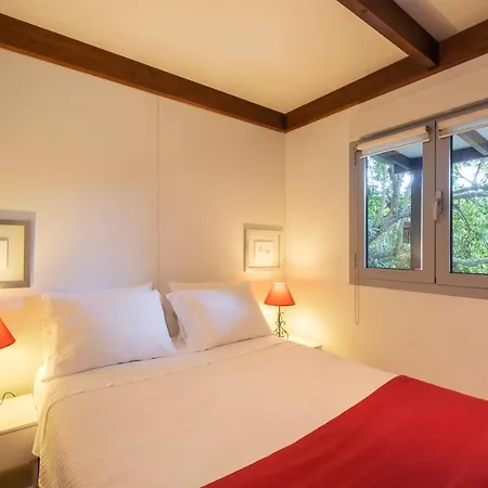 Casa Clivias Ponta Delgada